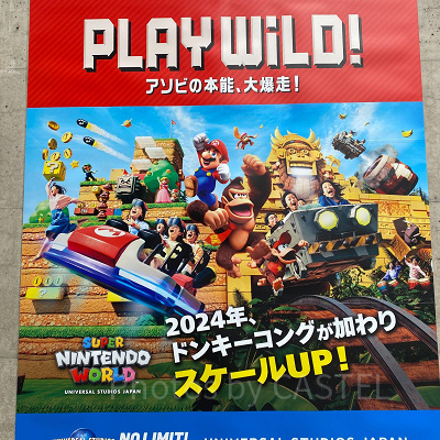 コングエリアポスター