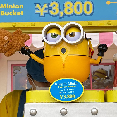 カンフーミニオンバケツ