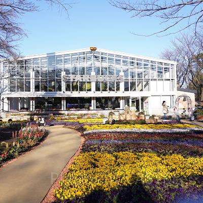 光を取り入れる大きな温室