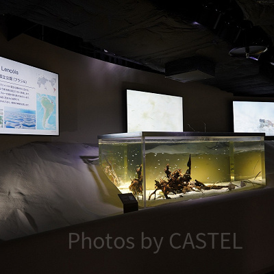 レンソイスエリア