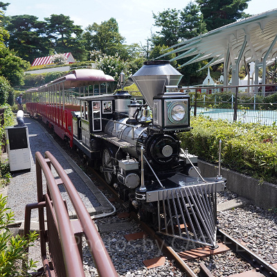 レオとライヤの夕日列車