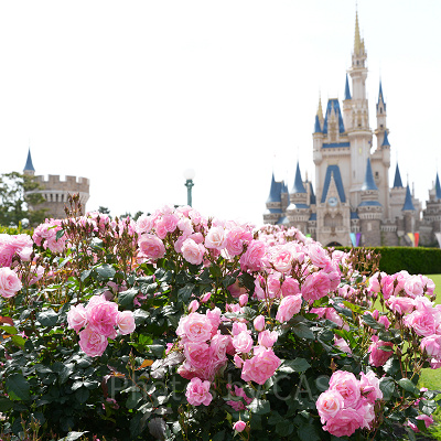 素敵な思い出はしっかりお家まで持ち帰りましょう♪