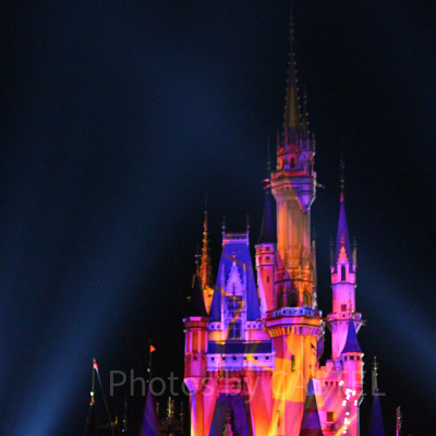 抽選にチャレンジしてショーを観よう