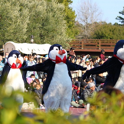 ディズニーシーへは履きなれたクツで行こう