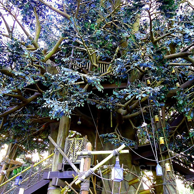 高いところからディズニーランドを一望しよう！