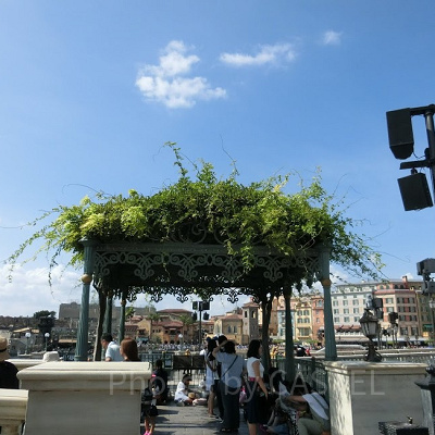 リドアイルの藤棚