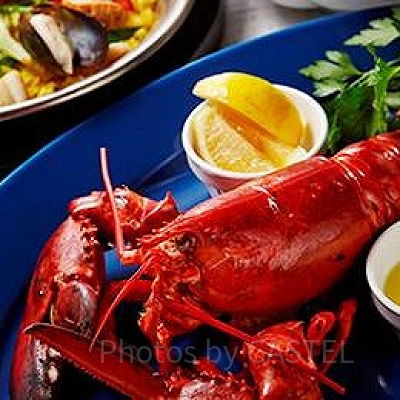 ライブロブスター（スチーム）