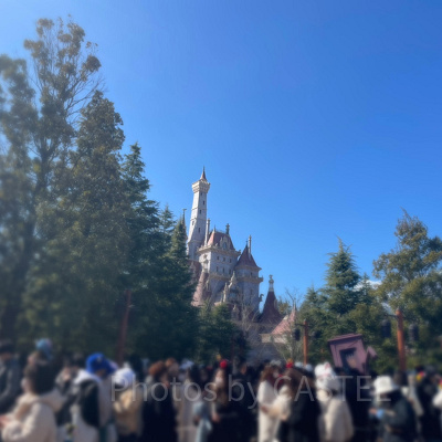 ディズニーランド混雑状況の現地レポート：美女と野獣エリアはNO１大混雑エリア