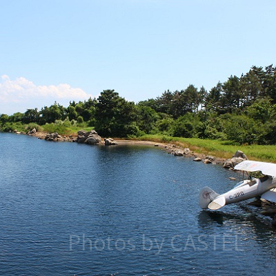 自然あふれるロストリバーデルタ