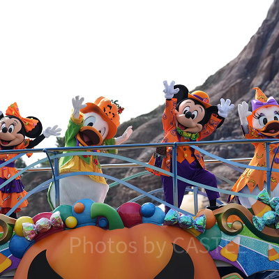 お昼のハーバーショー（イメージ）