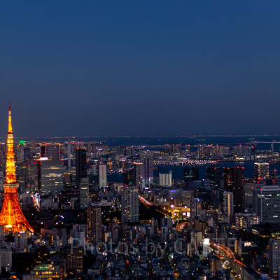 東京観光にも便利な立地のホテルが多い