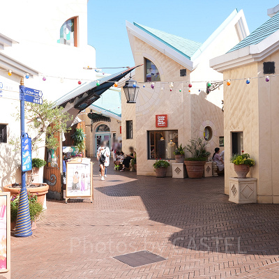 ミュージアム・レーン