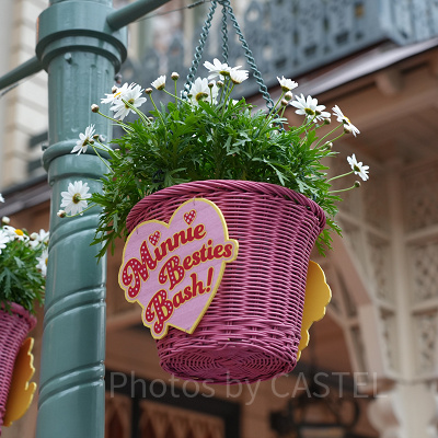 3月ディズニーランド混雑レポ：期間限定イベント「ミニー・ベスティーズ・バッシュ！」