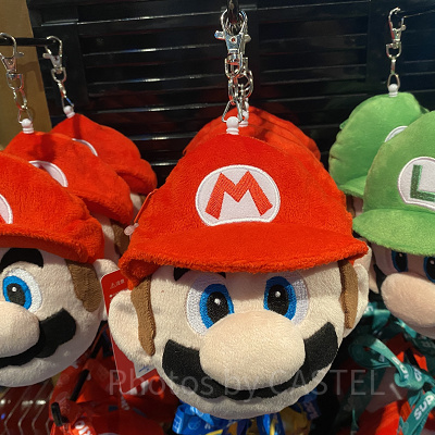 マリオのパスケース