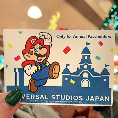 マリオの年パスケース