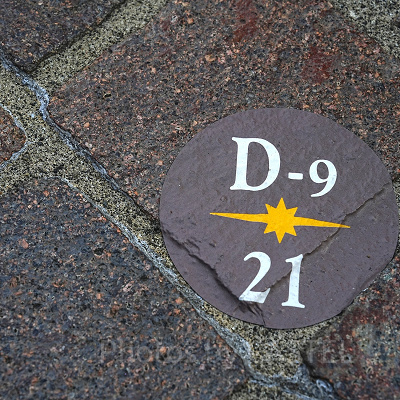 プレミアアクセス鑑賞エリアの鑑賞位置を示す目印