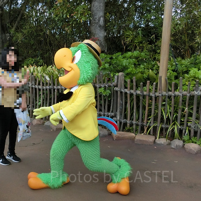 ロストリバーデルタでホセ・キャリオカと触れ合える