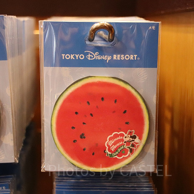 メモ（スイカ）