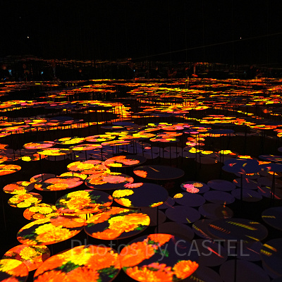 地形の記憶（チームラボボーダレス麻布台）