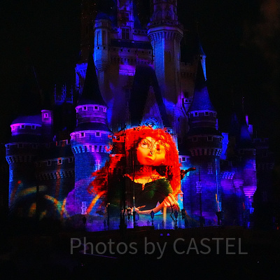 メリダとおそろしの森