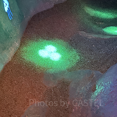 マーメイドラグーン隠れミッキー：アリエルのプレイグラウンド