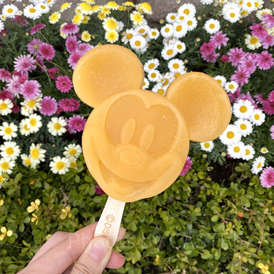 ミッキーアイスバー（トロピカルフルーツ