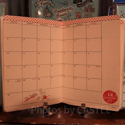 ミッキー＆ミニー内容