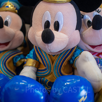 ミッキーぬいぐるみ（小）