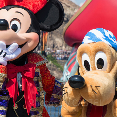 ザ・ヴィランズ・ワールド2015のミッキー＆プルート