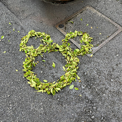 落ち葉でできたミッキーシェイプ