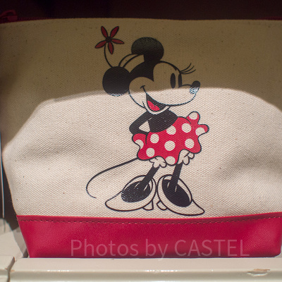 ミニーポーチ（キャンパス地）