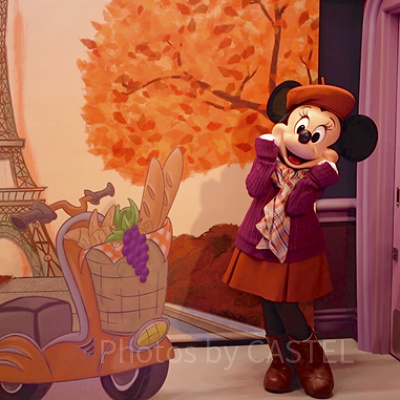 ミニーのスタイルスタジオ