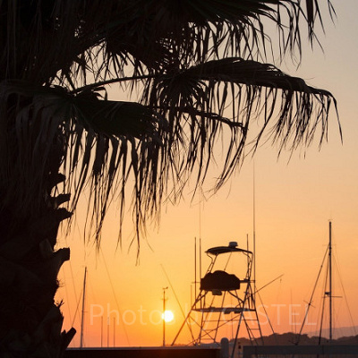 mirumi（ミルミ）のライターさん募集要項