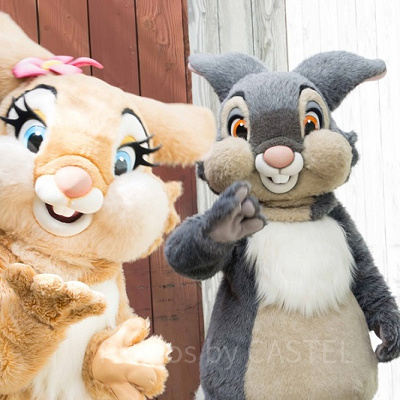 ミスバニーととんすけ