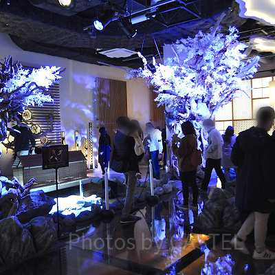 MIYABI　和と灯の間