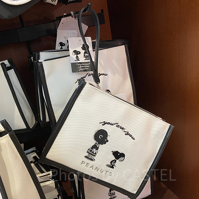 ポーチ（USJスヌーピー春夏グッズ）