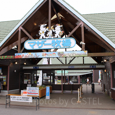 マザー牧場の山の上ゲート