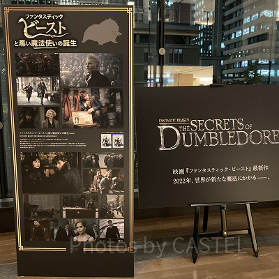 映画『ファンタスティック・ビースト3』