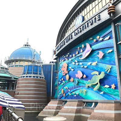 ニモ&フレンズシーライダー