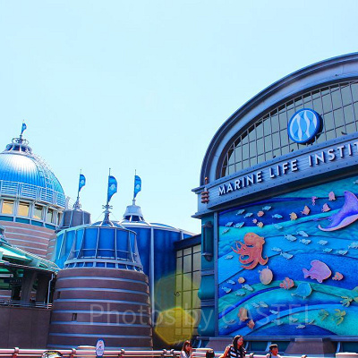 ニモのお父さん「マーリン」