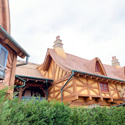 ニューファンタジーランド