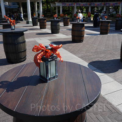 ディズニーシーの新フードトラックの席