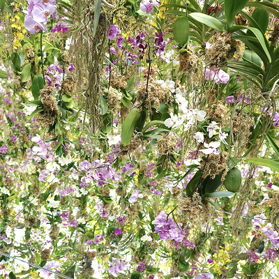 「Garden Area（ガーデンエリア）」の新作品