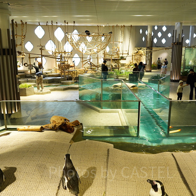 いきものが間近で観察できるニフレル