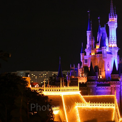 スイスファミリー・ツリーハウスからの夜景