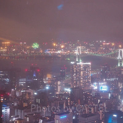 東京タワーからの夜景