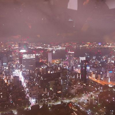 トップデッキからの夜景