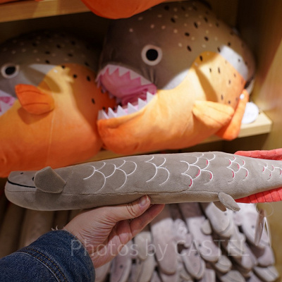 にぎっ太郎ピラルク