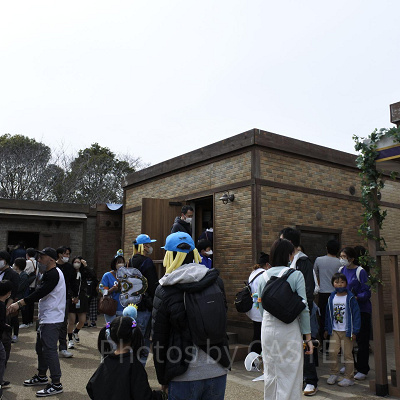 ニジゲンノモリ「ドラゴンクエストアイランド」／オノコガルドの町