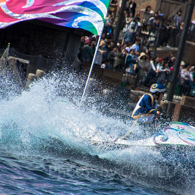 通常撮り作例<br /> 設定：300㎜ SS1/320 F8.0 ISO100